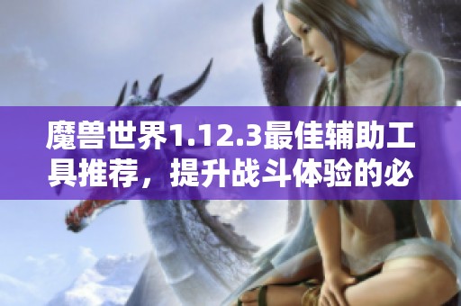 魔兽世界1.12.3最佳辅助工具推荐，提升战斗体验的必备助手