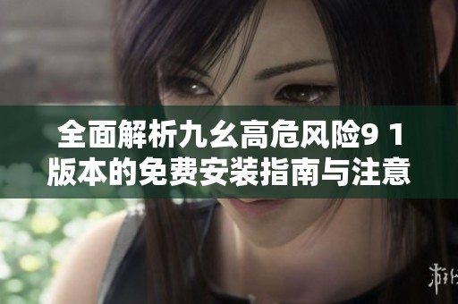 全面解析九幺高危风险9 1版本的免费安装指南与注意事项
