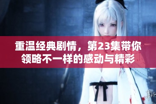 重温经典剧情，第23集带你领略不一样的感动与精彩