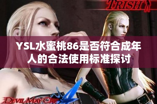 YSL水蜜桃86是否符合成年人的合法使用标准探讨