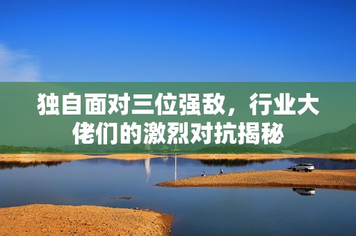 独自面对三位强敌，行业大佬们的激烈对抗揭秘