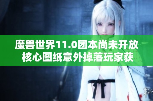 魔兽世界11.0团本尚未开放 核心图纸意外掉落玩家获利三百万