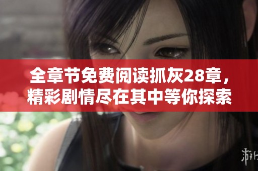 全章节免费阅读抓灰28章，精彩剧情尽在其中等你探索