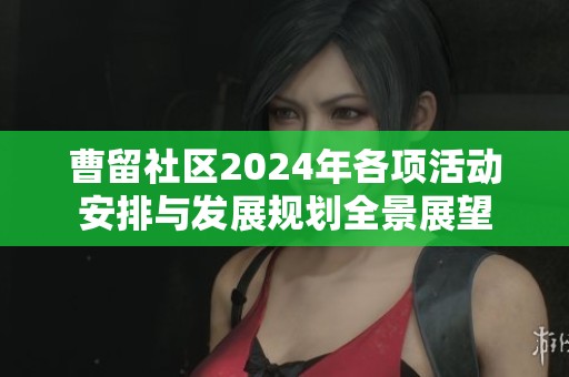 曹留社区2024年各项活动安排与发展规划全景展望