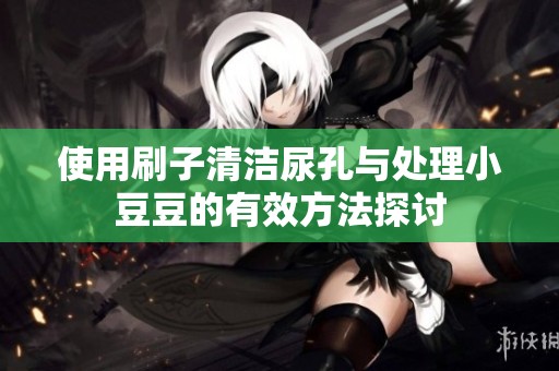 使用刷子清洁尿孔与处理小豆豆的有效方法探讨