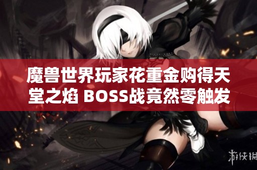 魔兽世界玩家花重金购得天堂之焰 BOSS战竟然零触发失利!