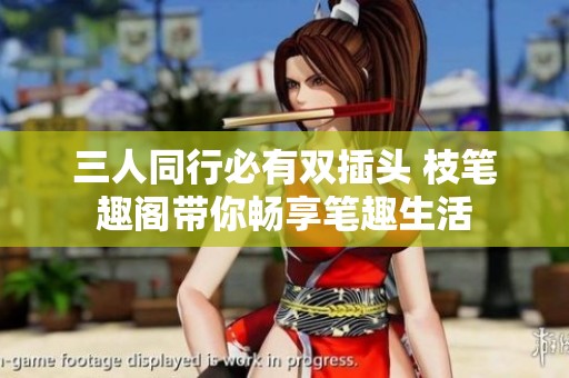 三人同行必有双插头 枝笔趣阁带你畅享笔趣生活
