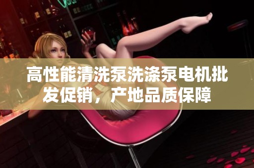 高性能清洗泵洗涤泵电机批发促销，产地品质保障