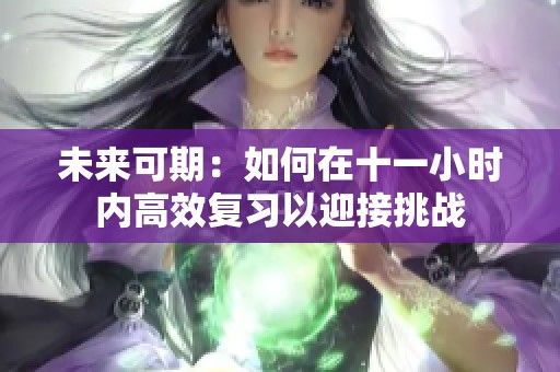 未来可期：如何在十一小时内高效复习以迎接挑战
