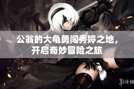 公翁的大龟勇闯秀婷之地，开启奇妙冒险之旅