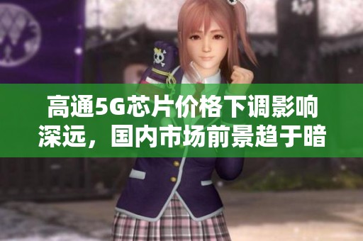 高通5G芯片价格下调影响深远，国内市场前景趋于暗淡