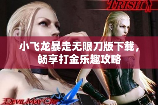 小飞龙暴走无限刀版下载，畅享打金乐趣攻略