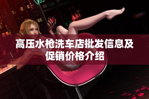 高压水枪洗车店批发信息及促销价格介绍