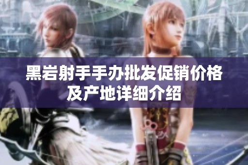黑岩射手手办批发促销价格及产地详细介绍