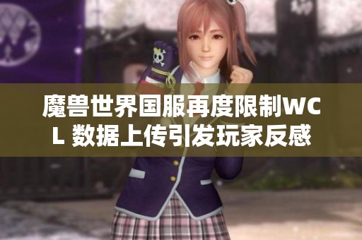 魔兽世界国服再度限制WCL 数据上传引发玩家反感