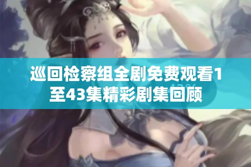 巡回检察组全剧免费观看1至43集精彩剧集回顾