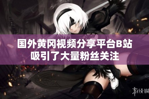 国外黄冈视频分享平台B站吸引了大量粉丝关注