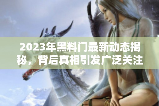 2023年黑料门最新动态揭秘，背后真相引发广泛关注