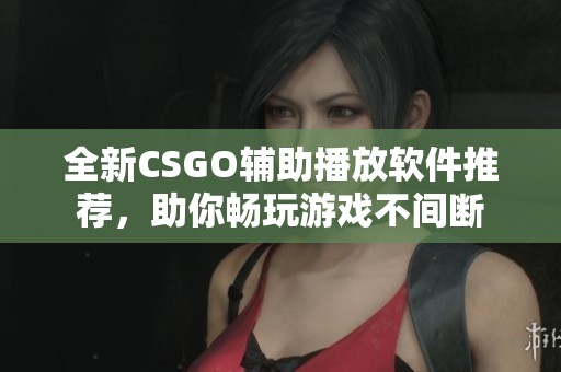 全新CSGO辅助播放软件推荐，助你畅玩游戏不间断