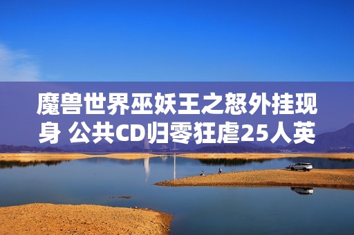 魔兽世界巫妖王之怒外挂现身 公共CD归零狂虐25人英雄难度巫妖王
