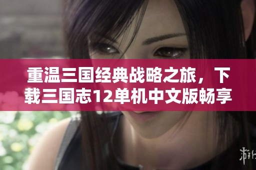 重温三国经典战略之旅，下载三国志12单机中文版畅享历史战争