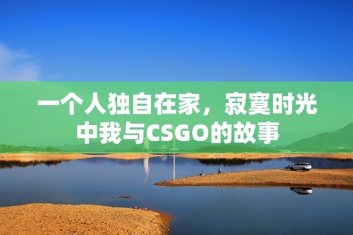 一个人独自在家，寂寞时光中我与CSGO的故事