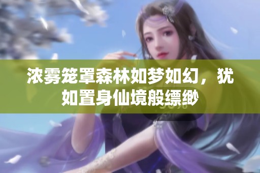 浓雾笼罩森林如梦如幻，犹如置身仙境般缥缈