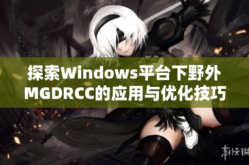 探索Windows平台下野外MGDRCC的应用与优化技巧