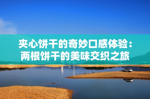 夹心饼干的奇妙口感体验：两根饼干的美味交织之旅