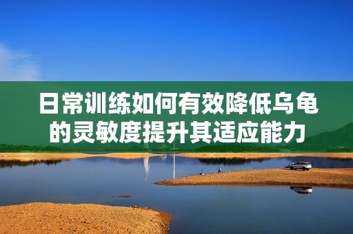 日常训练如何有效降低乌龟的灵敏度提升其适应能力