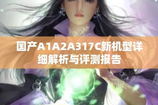 国产A1A2A317C新机型详细解析与评测报告