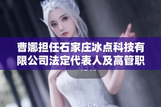 曹娜担任石家庄冰点科技有限公司法定代表人及高管职位解析
