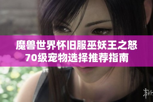 魔兽世界怀旧服巫妖王之怒70级宠物选择推荐指南