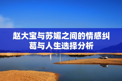 赵大宝与苏媚之间的情感纠葛与人生选择分析