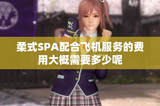 柔式SPA配合飞机服务的费用大概需要多少呢