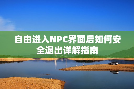 自由进入NPC界面后如何安全退出详解指南