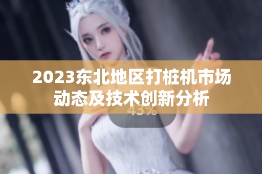 2023东北地区打桩机市场动态及技术创新分析