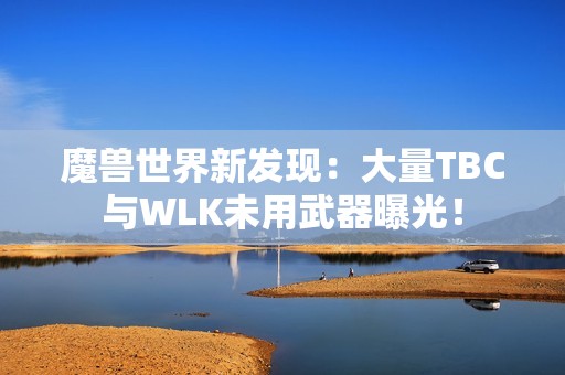 魔兽世界新发现：大量TBC与WLK未用武器曝光！