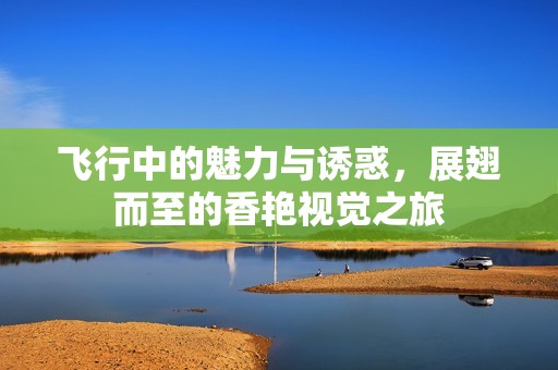 飞行中的魅力与诱惑，展翅而至的香艳视觉之旅