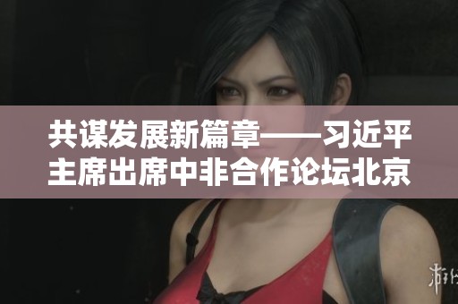 共谋发展新篇章——习近平主席出席中非合作论坛北京峰会回顾