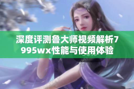 深度评测鲁大师视频解析7995wx性能与使用体验