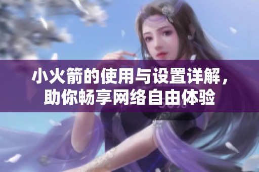 小火箭的使用与设置详解，助你畅享网络自由体验
