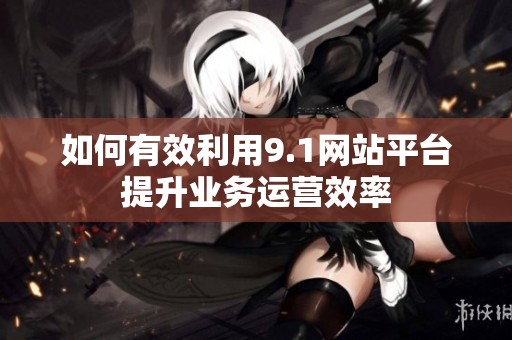 如何有效利用9.1网站平台提升业务运营效率