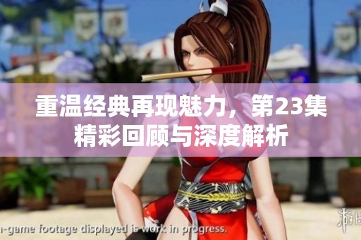 重温经典再现魅力，第23集精彩回顾与深度解析