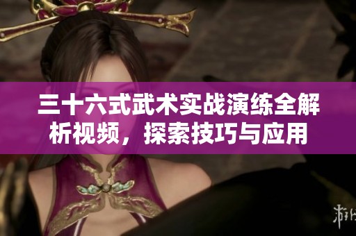 三十六式武术实战演练全解析视频，探索技巧与应用