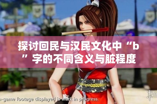 探讨回民与汉民文化中“b”字的不同含义与脏程度