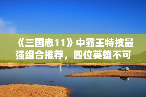 《三国志11》中霸王特技最强组合推荐，四位英雄不可错过