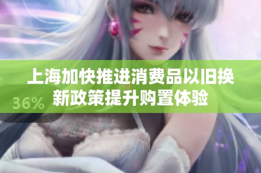 上海加快推进消费品以旧换新政策提升购置体验