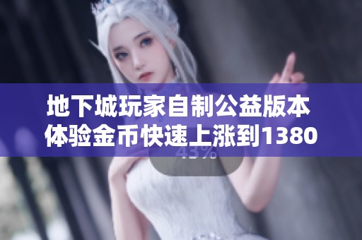 地下城玩家自制公益版本 体验金币快速上涨到13800万的乐趣