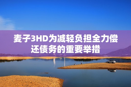 麦子3HD为减轻负担全力偿还债务的重要举措